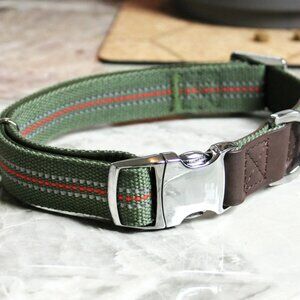 Vibrant Life Comfort Premium Reflective Dog Collar, Metal Buckle, Olive Green, L